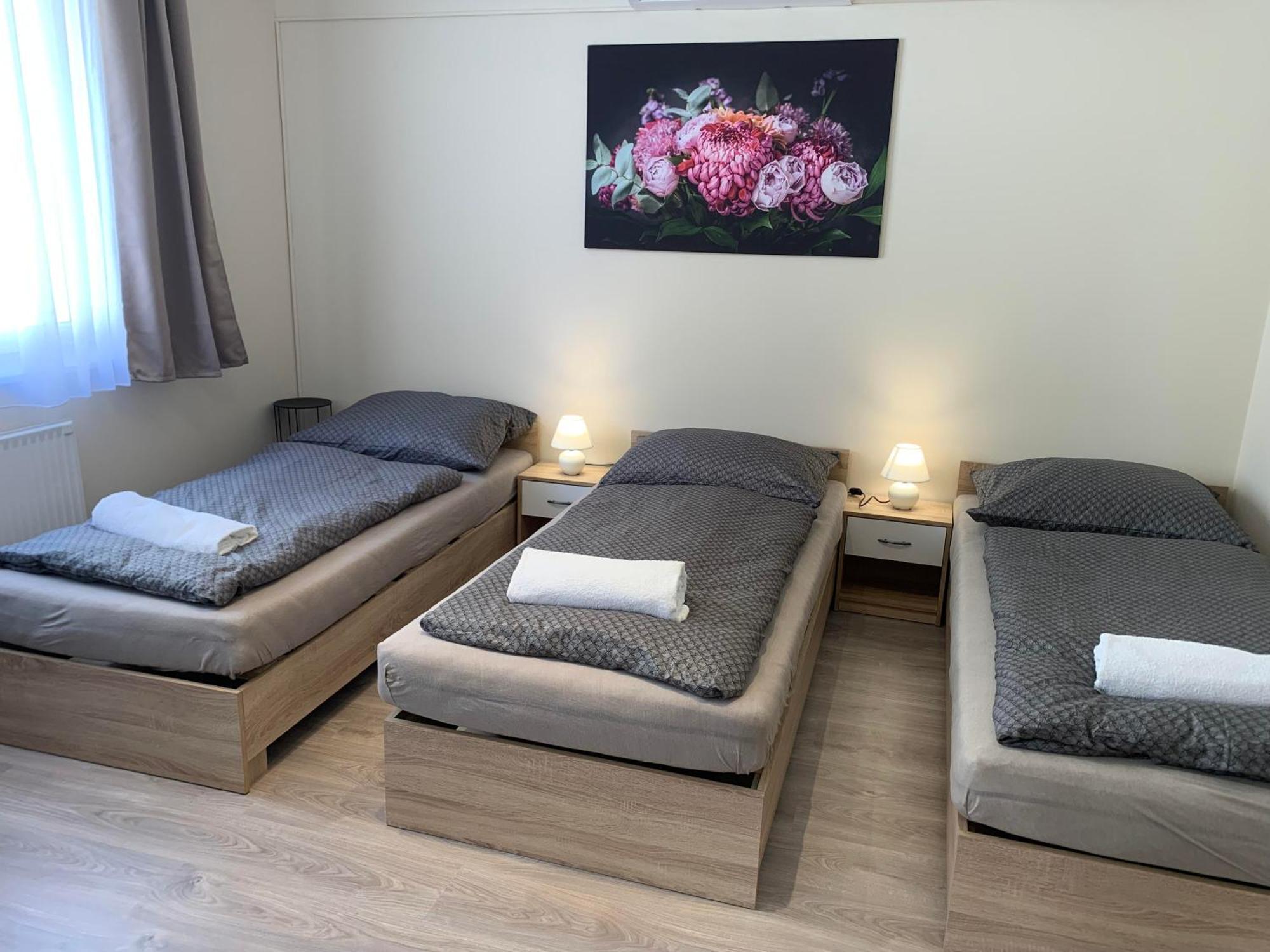 Silver Shine * Debrecen